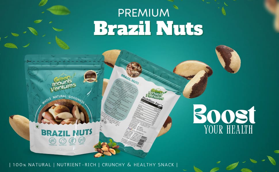 Premium Brazil Nuts – Exotic Superfood for Wellness