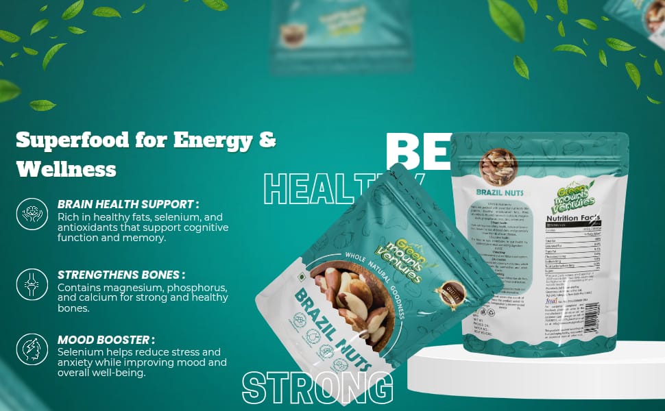 Premium Brazil Nuts – Exotic Superfood for Wellness