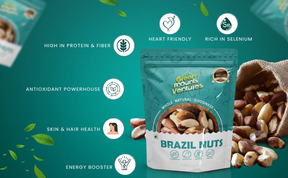 Premium Brazil Nuts – Exotic Superfood for Wellness