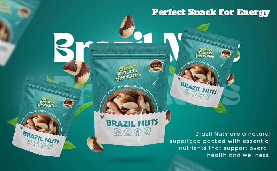 Premium Brazil Nuts – Exotic Superfood for Wellness