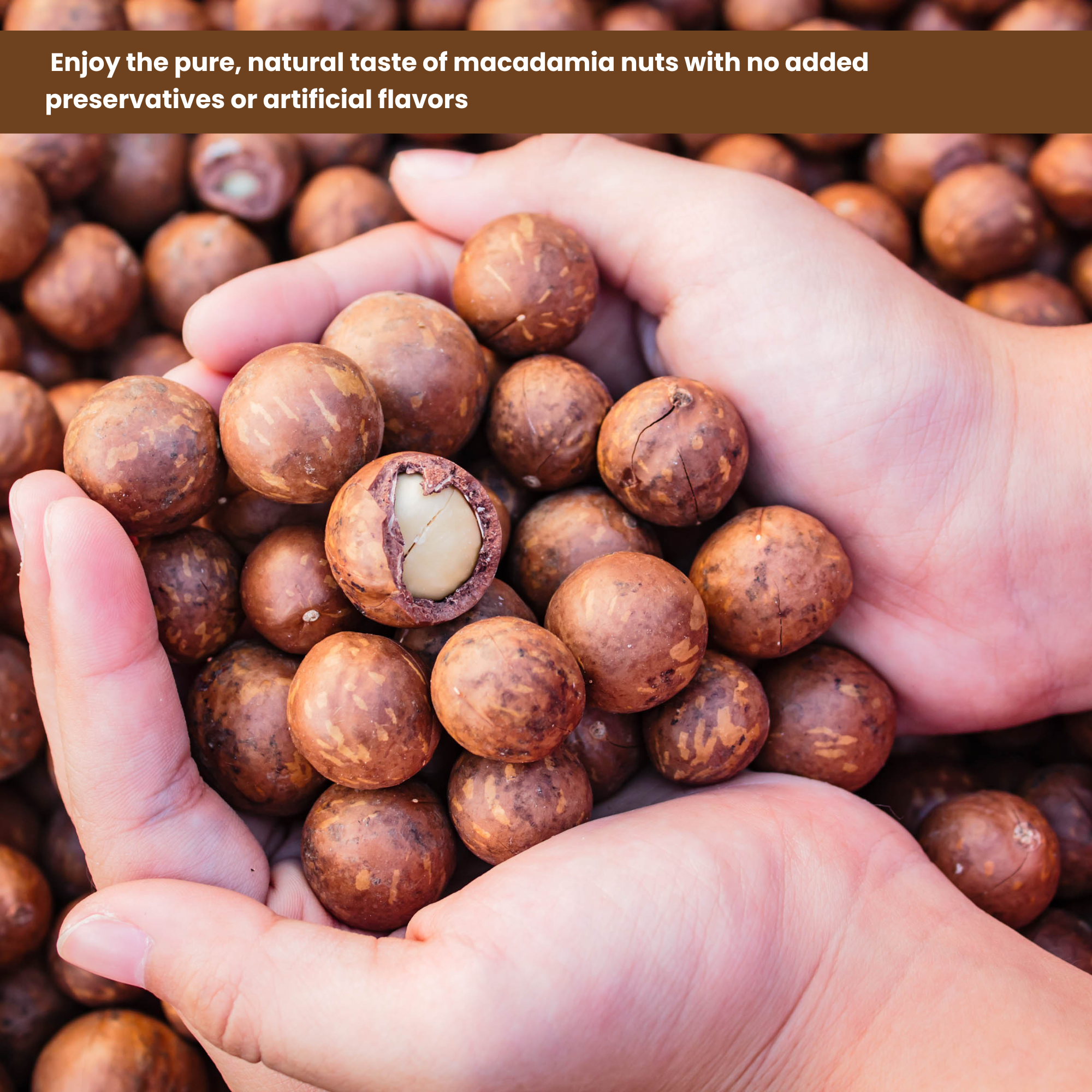 Premium Quality Macadamia Nuts – Rich in Healthy Fats