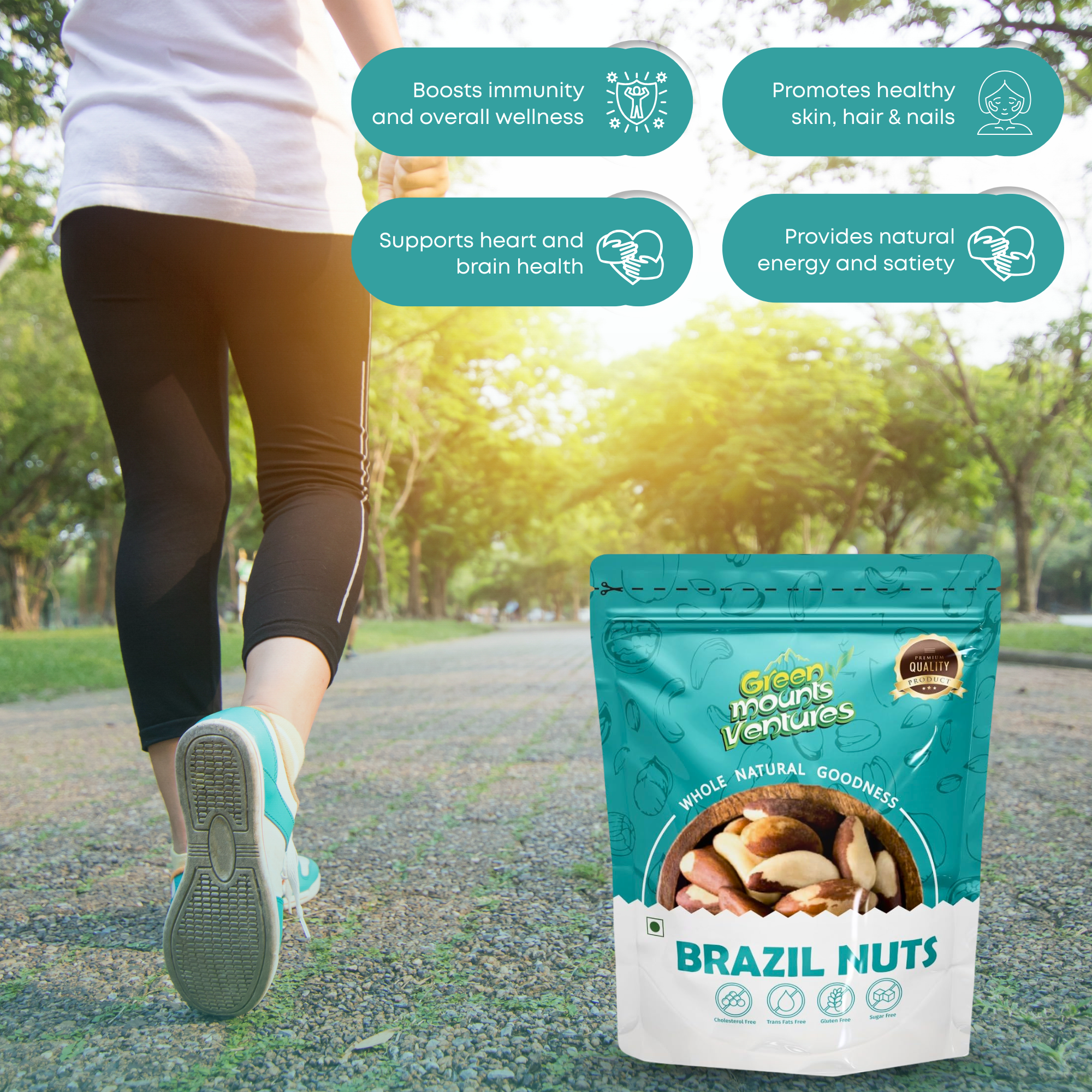 Premium Brazil Nuts – Exotic Superfood for Wellness