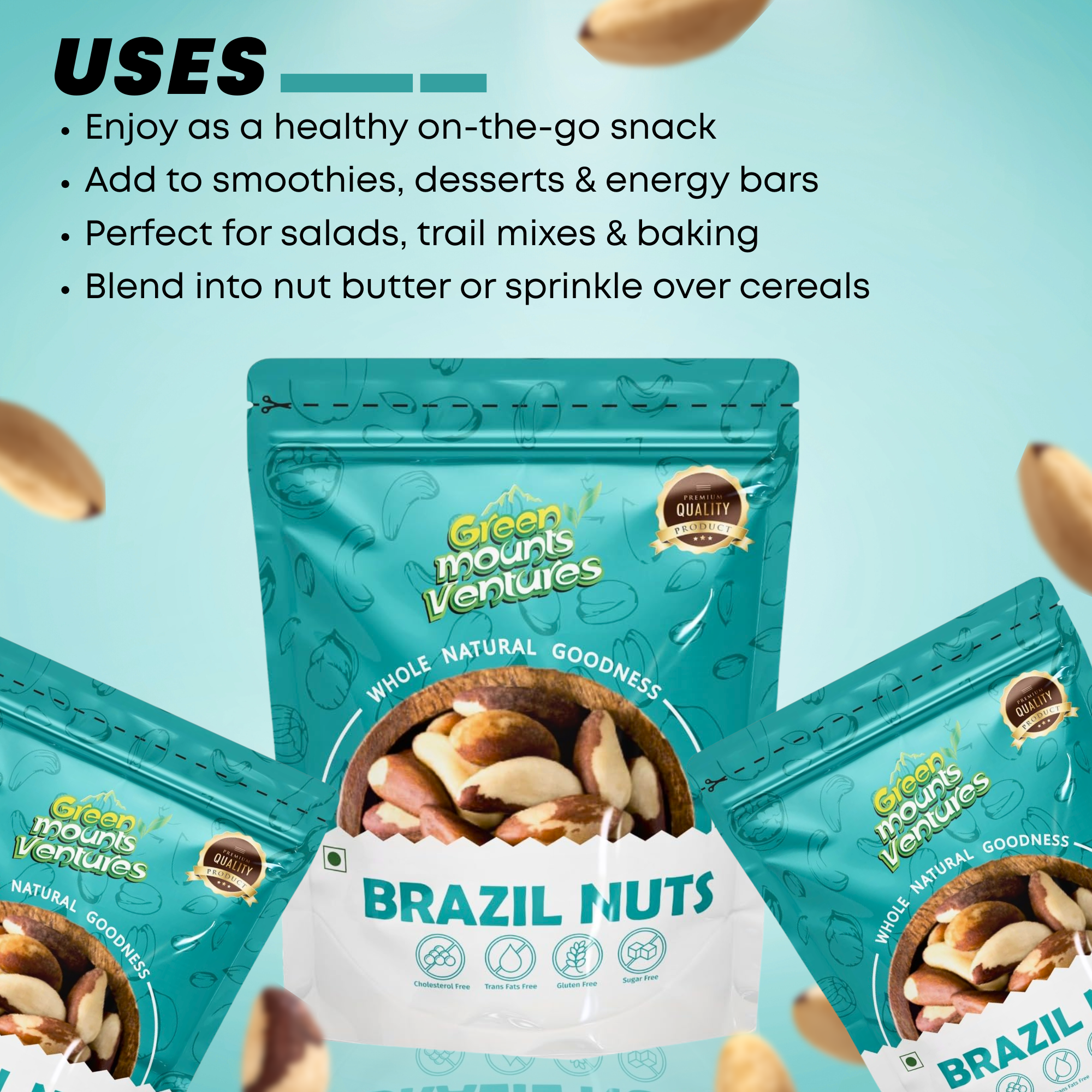 Premium Brazil Nuts – Exotic Superfood for Wellness
