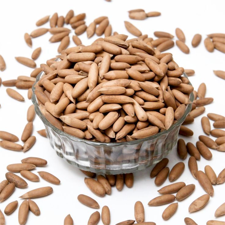 Pine Nut With Shell